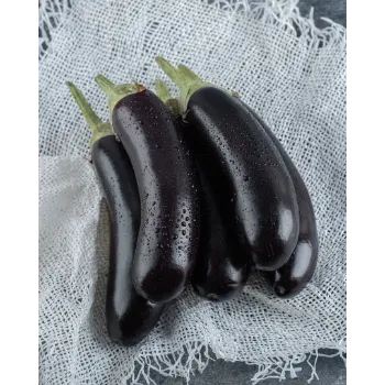 Brinjal (18)-3902151-83130.webp